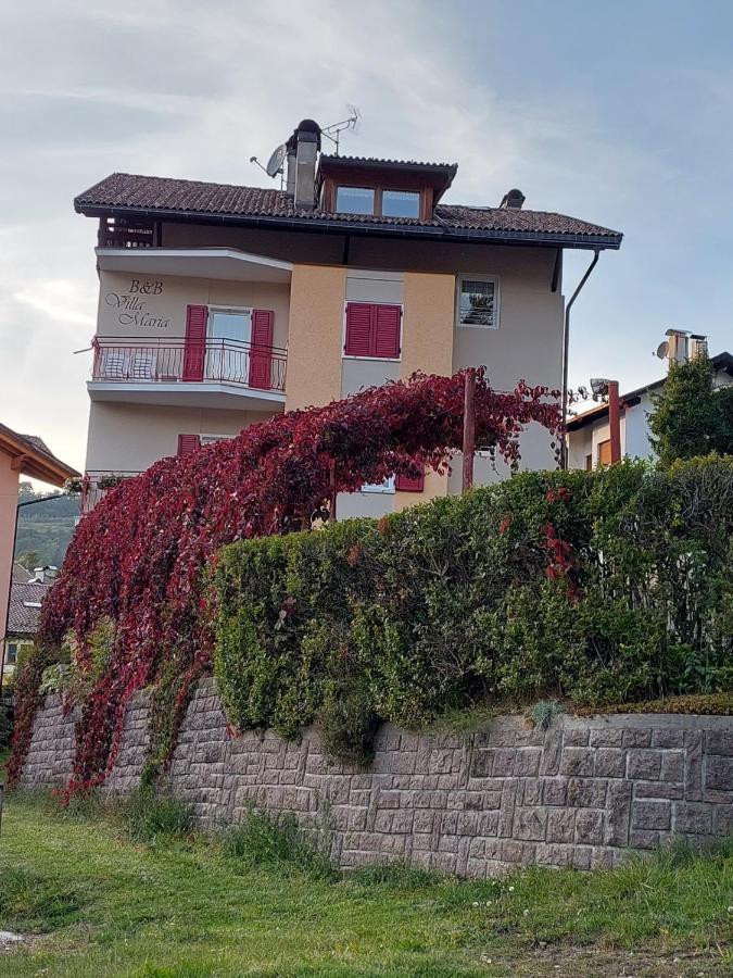 Bed & Breakfast Villa Maria Cavalese Εξωτερικό φωτογραφία